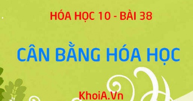 Cân bằng hóa học là gì? Các yếu tố ảnh hướng tới sự cân bằng hóa học, nguyên lý Le Chatelier - Hóa 10 bài 38